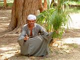 Assouan Ile Kitchener 0079